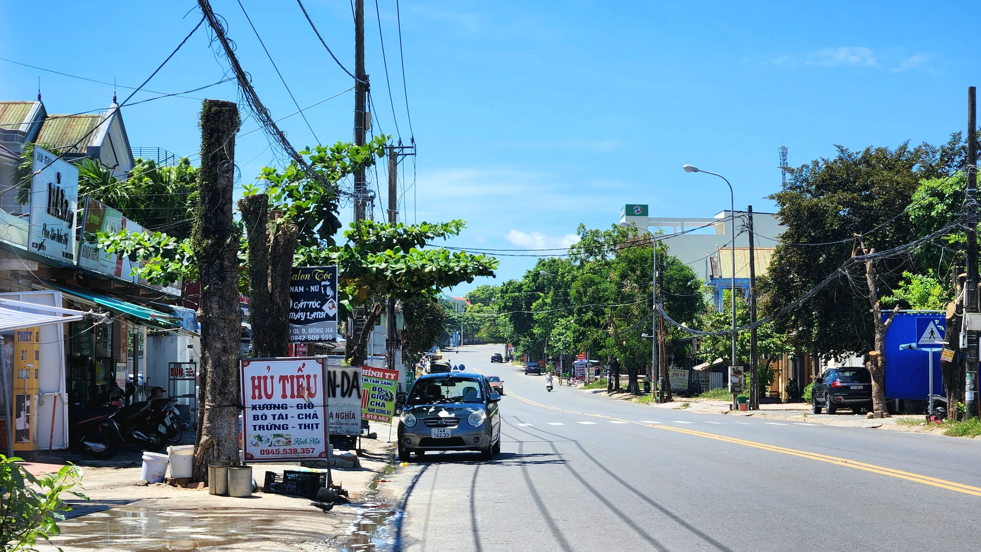 cây xanh ở TP Đông Hà