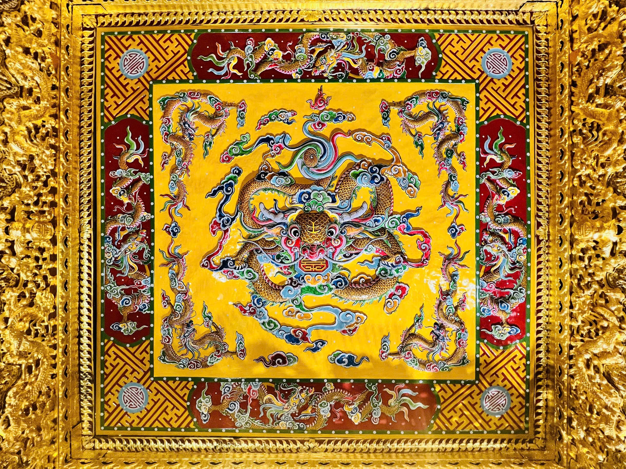 dien-thai-hoa-long-lay-sau-khi-trung-tu (43).jpg