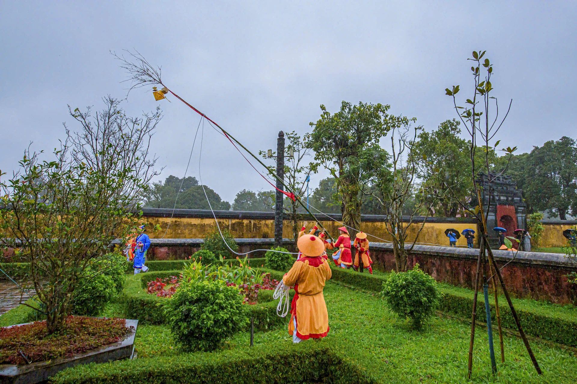 ha-cay-neu-trong-hoang-cung-hue-5.jpg
