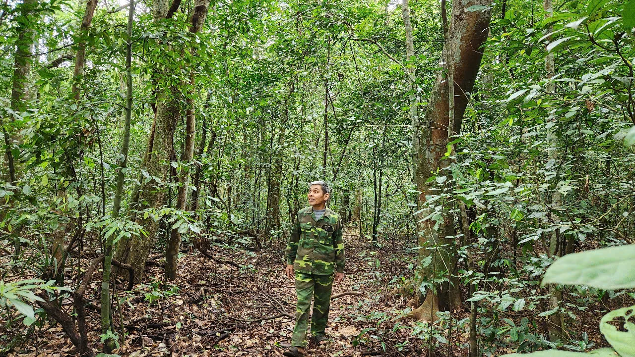 đặt tên cho một loài cây