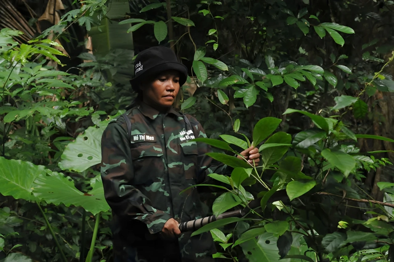 rừng trường sơn
