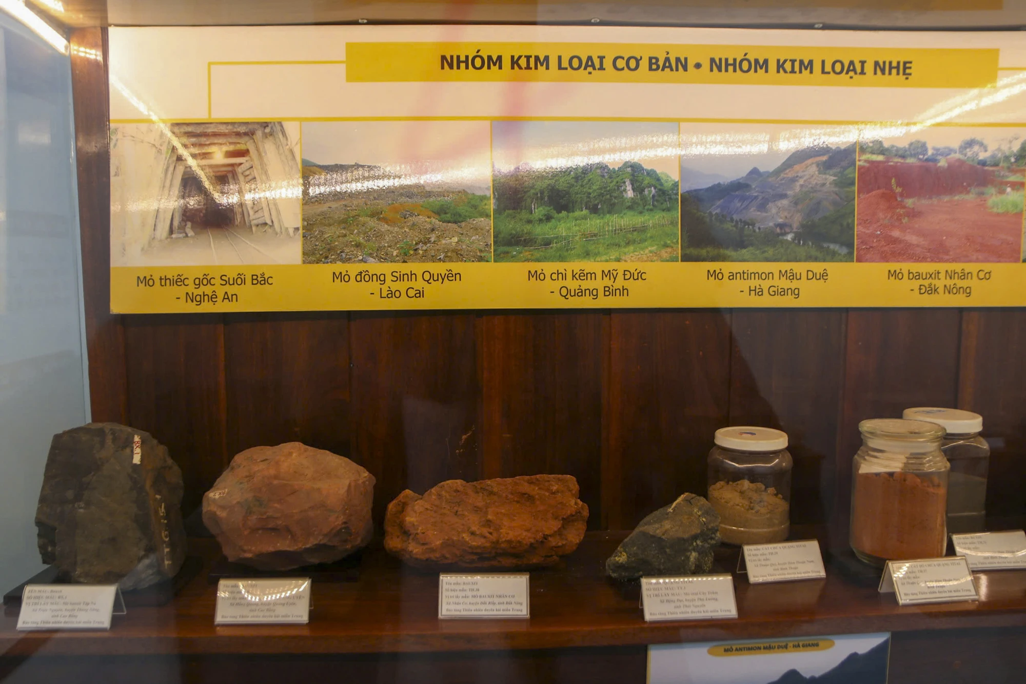 bao-tang-thien-nhien-23.jpg