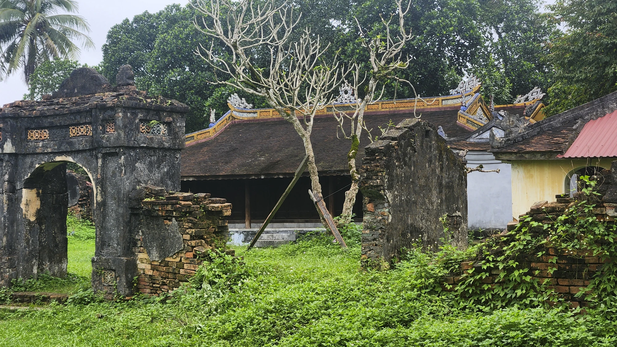 dien-voi-re-11.jpg