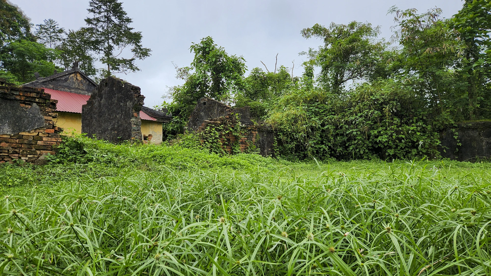 dien-voi-re-16.jpg