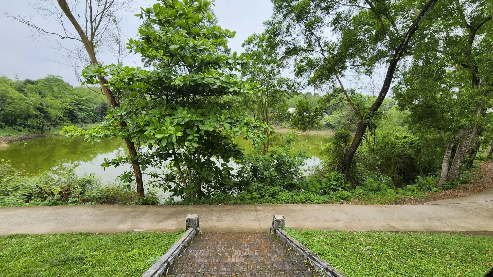 dien-voi-re-8.jpg