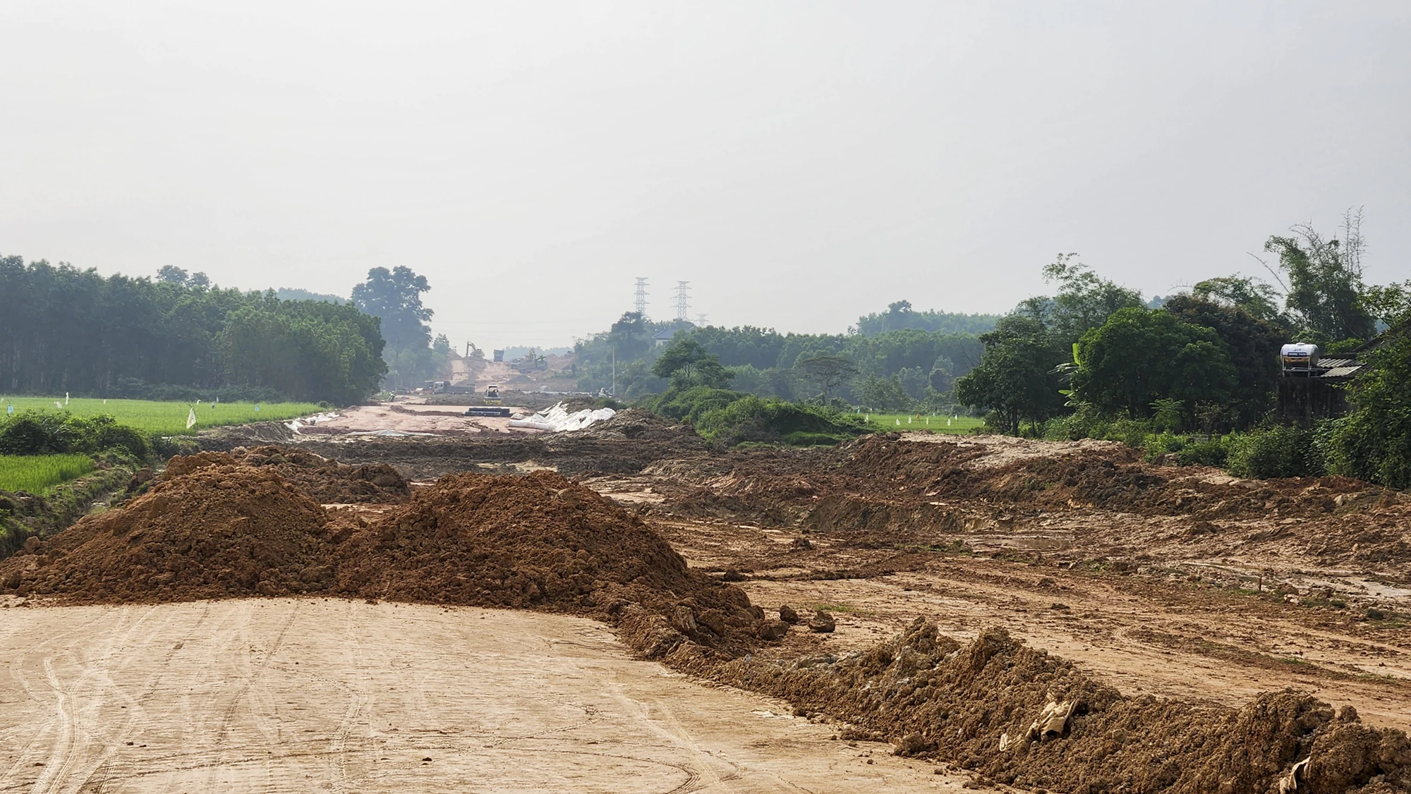 duong-hung-vuong-noi-dai-7.jpg