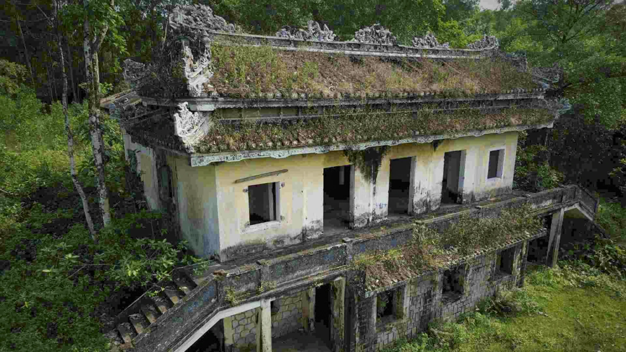 ngô Đình cẩn