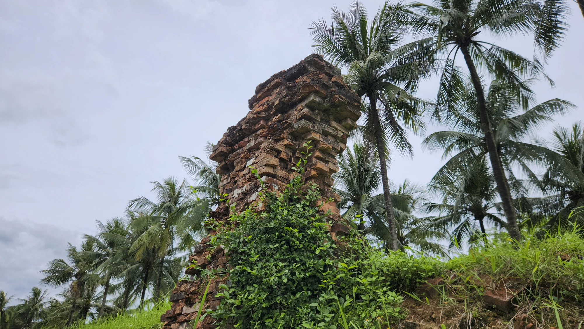 thanh-co-quang-tro-30.jpg
