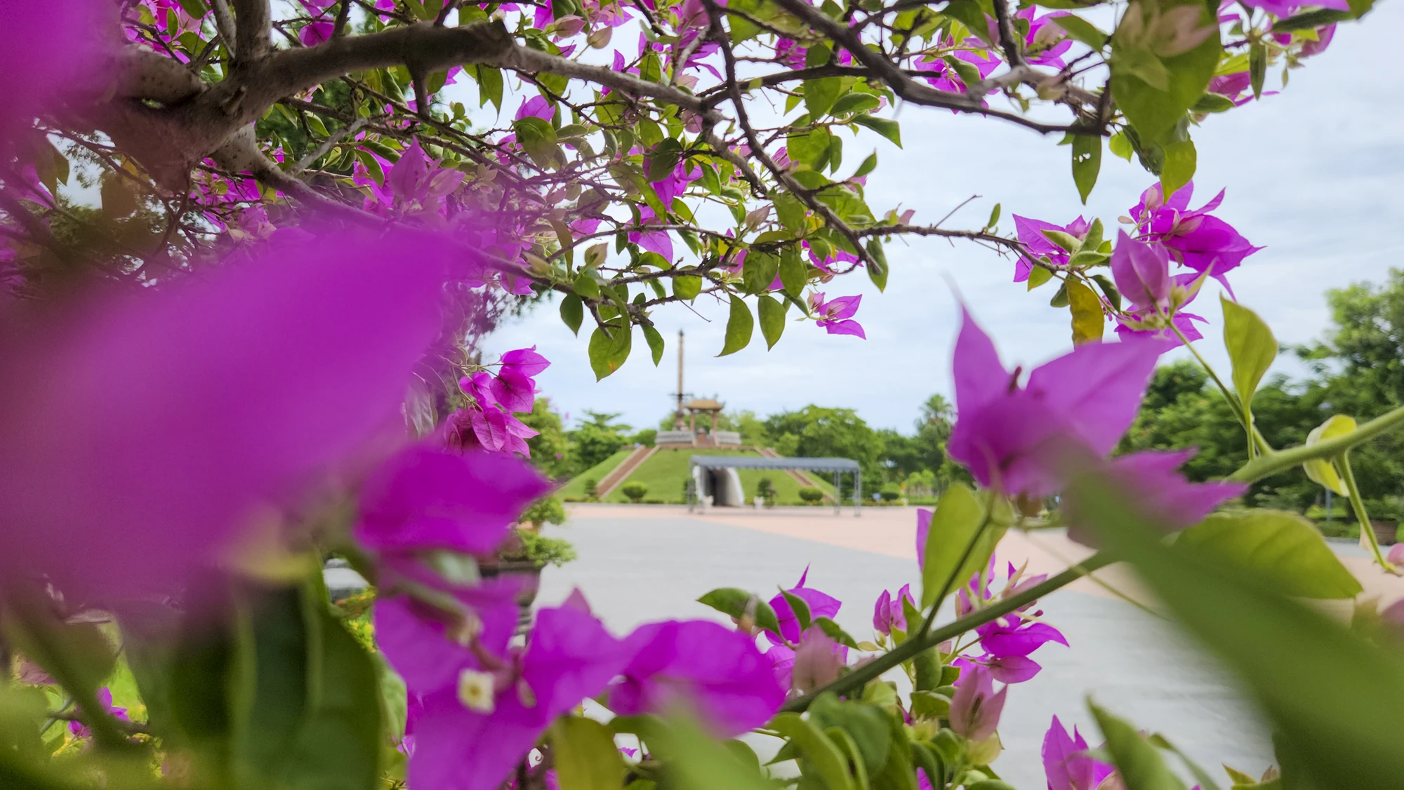 thanh-co-quang-tro-6.jpg