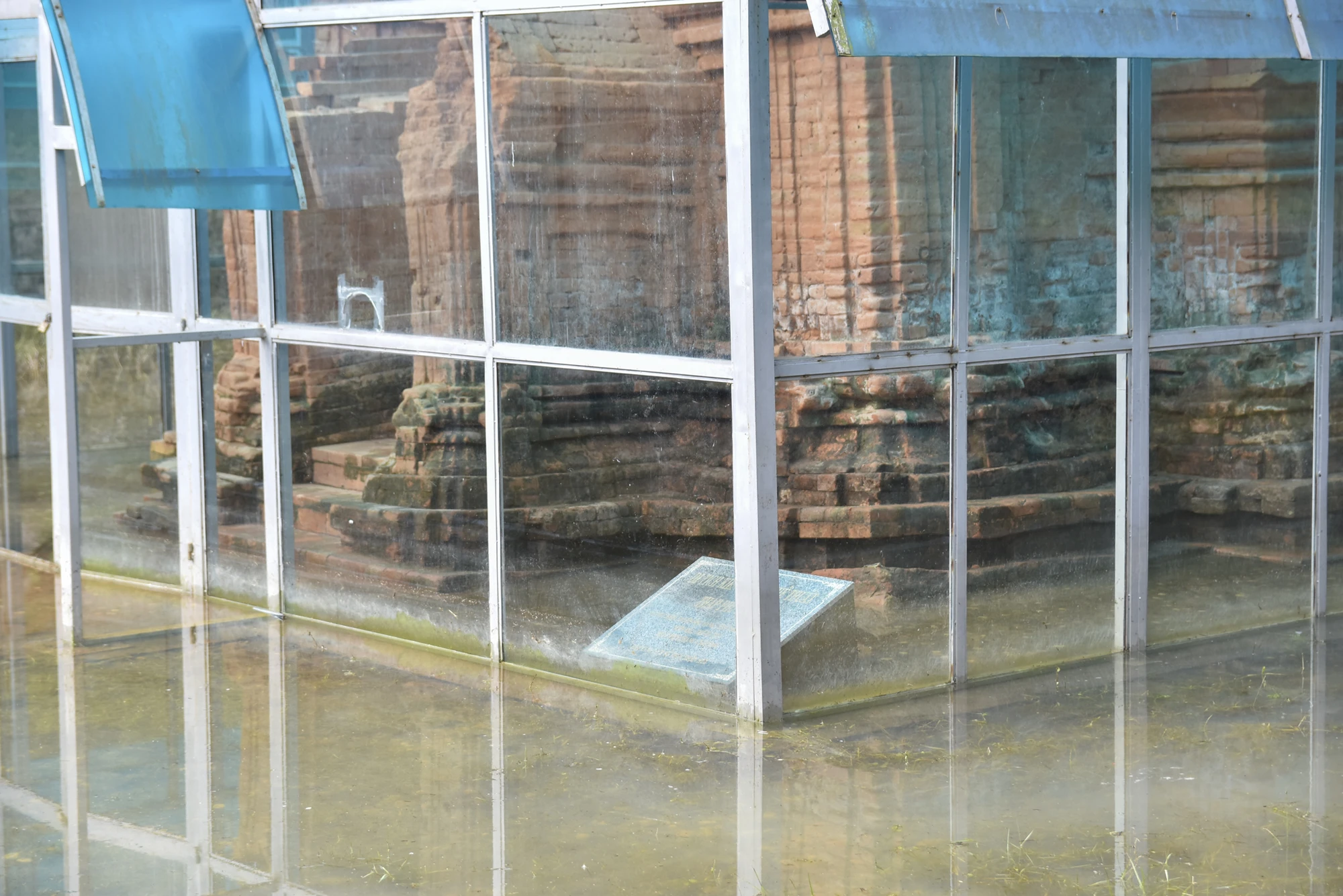 canh-canh-di-tich-thap-cham-hon-1-200-tuoi-ngap-sau (12).jpg
