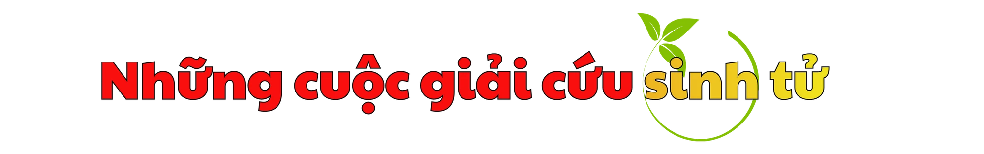 doi-cuu-ho-cuu-nan-hue- (3).png