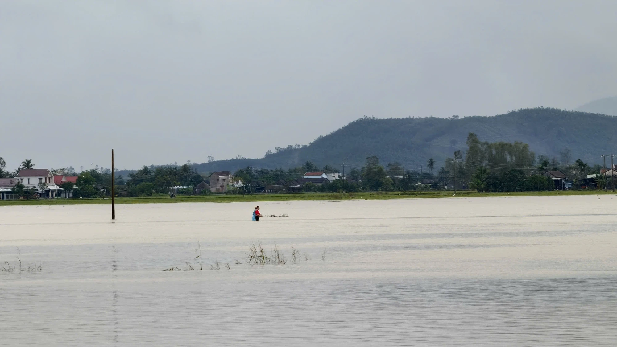 chum-anh-flycam-nuoc-bua-vay-ron-lu-hoa-thinh-dak-lak (17).jpg