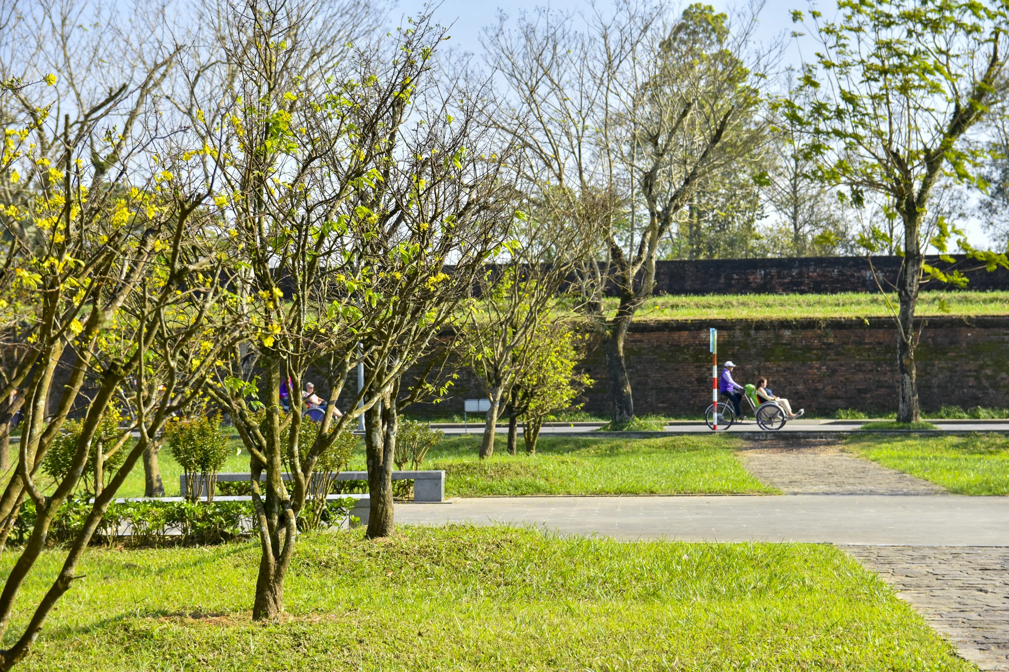 hoang-mai-hue-12.jpg