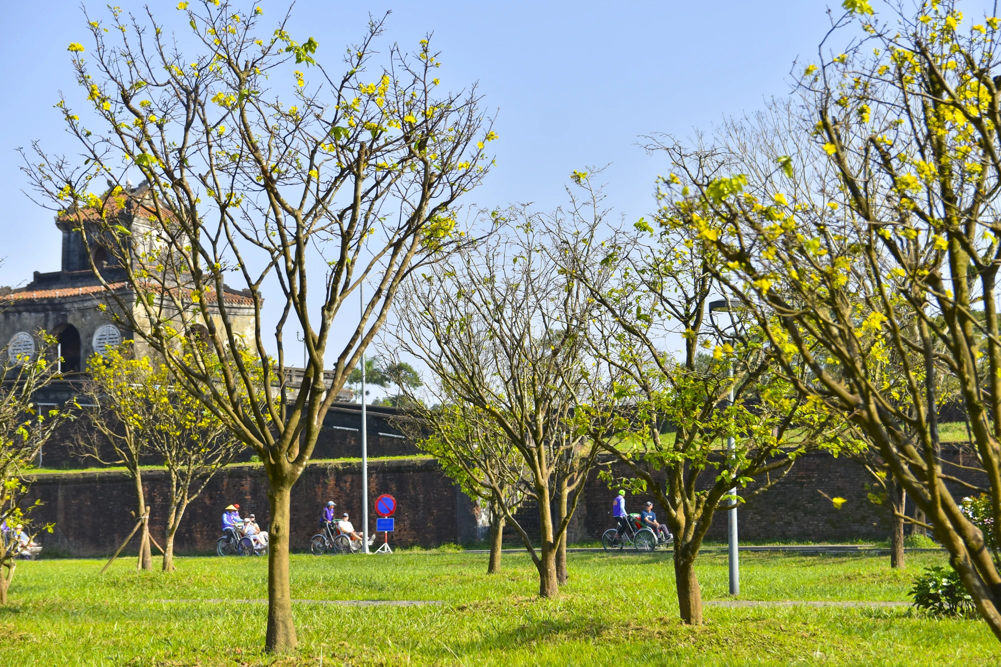 hoang-mai-hue-13.jpg