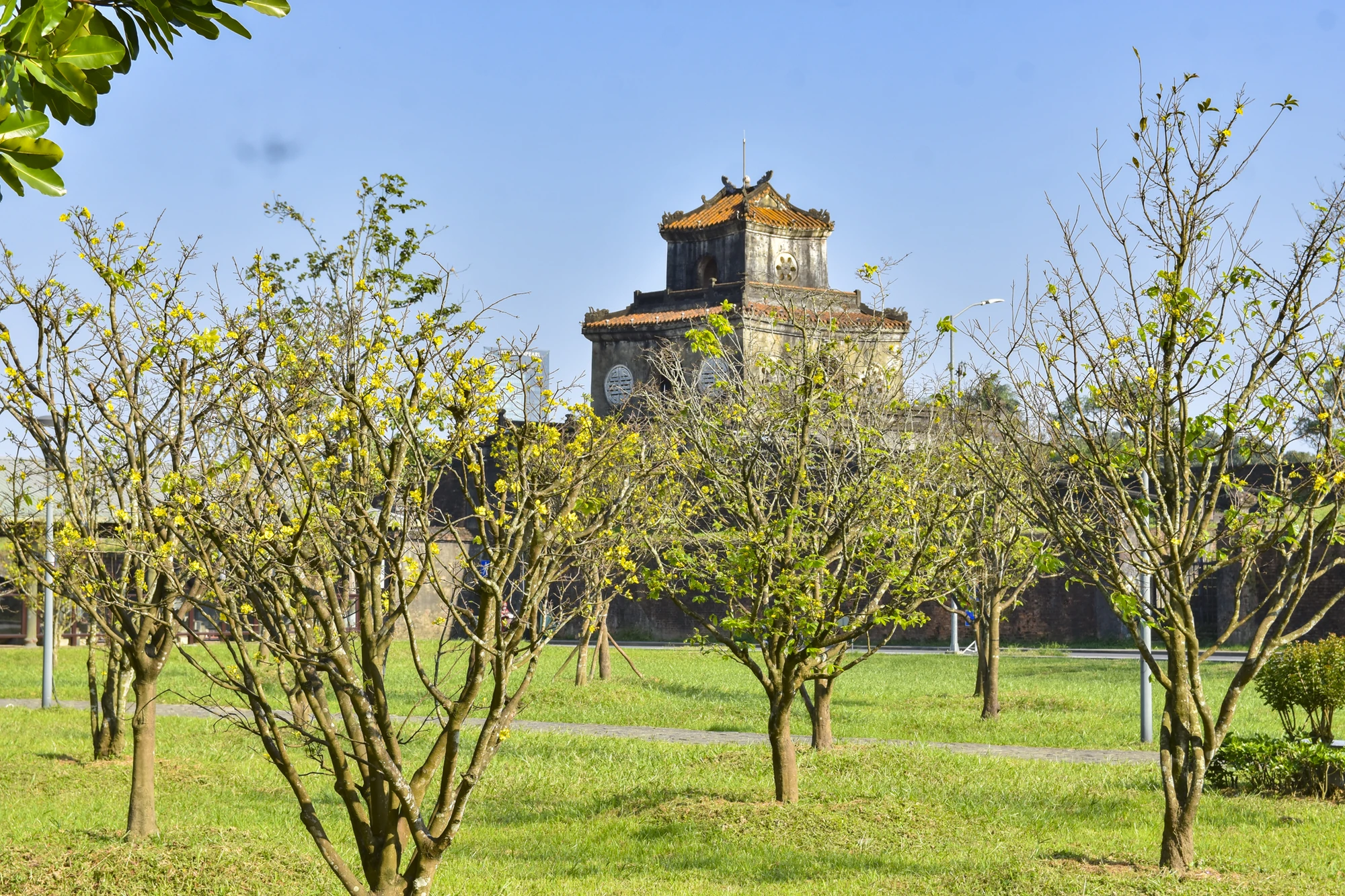 hoang-mai-hue-18.jpg