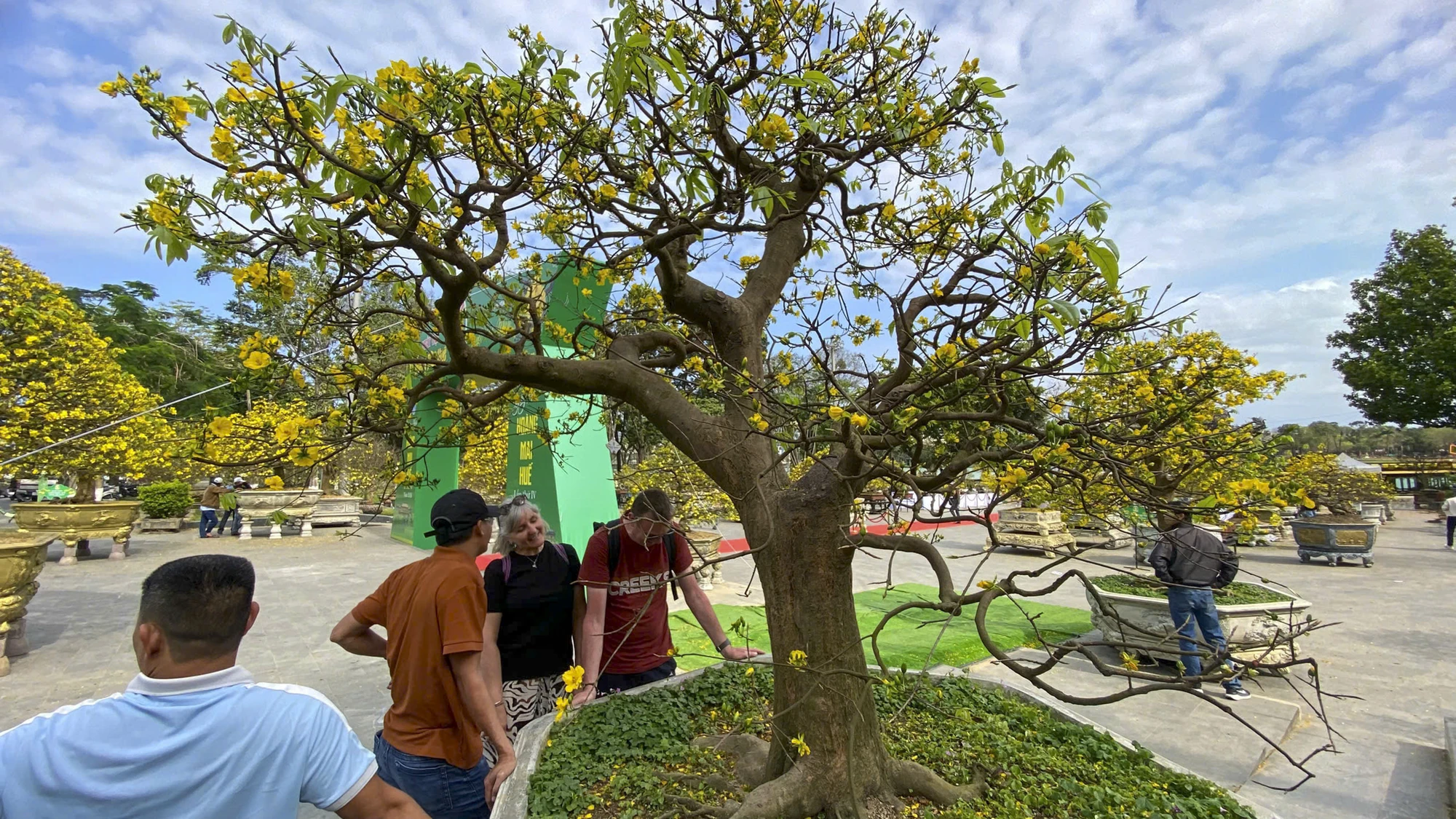 hoang-mai-hue-1_1.jpg