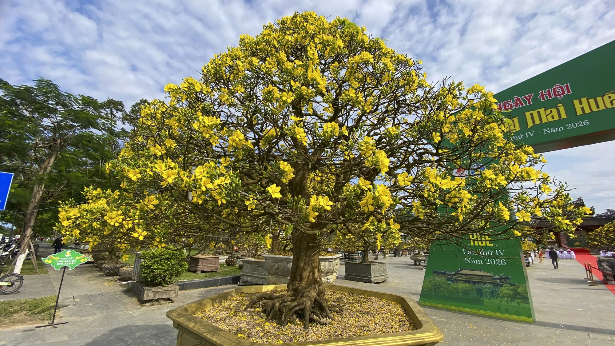 hoang-mai-hue-5_1.jpg