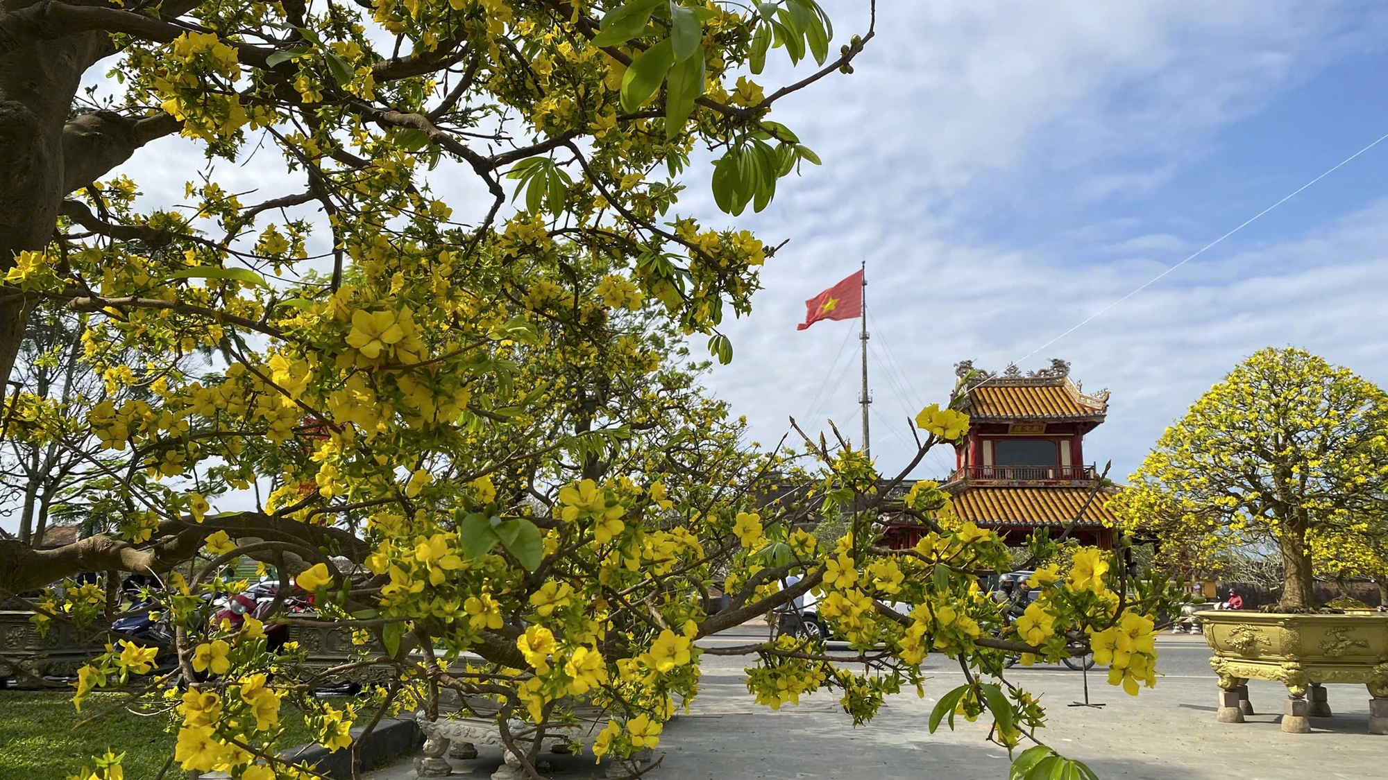 hoang-mai-hue-9_1.jpg