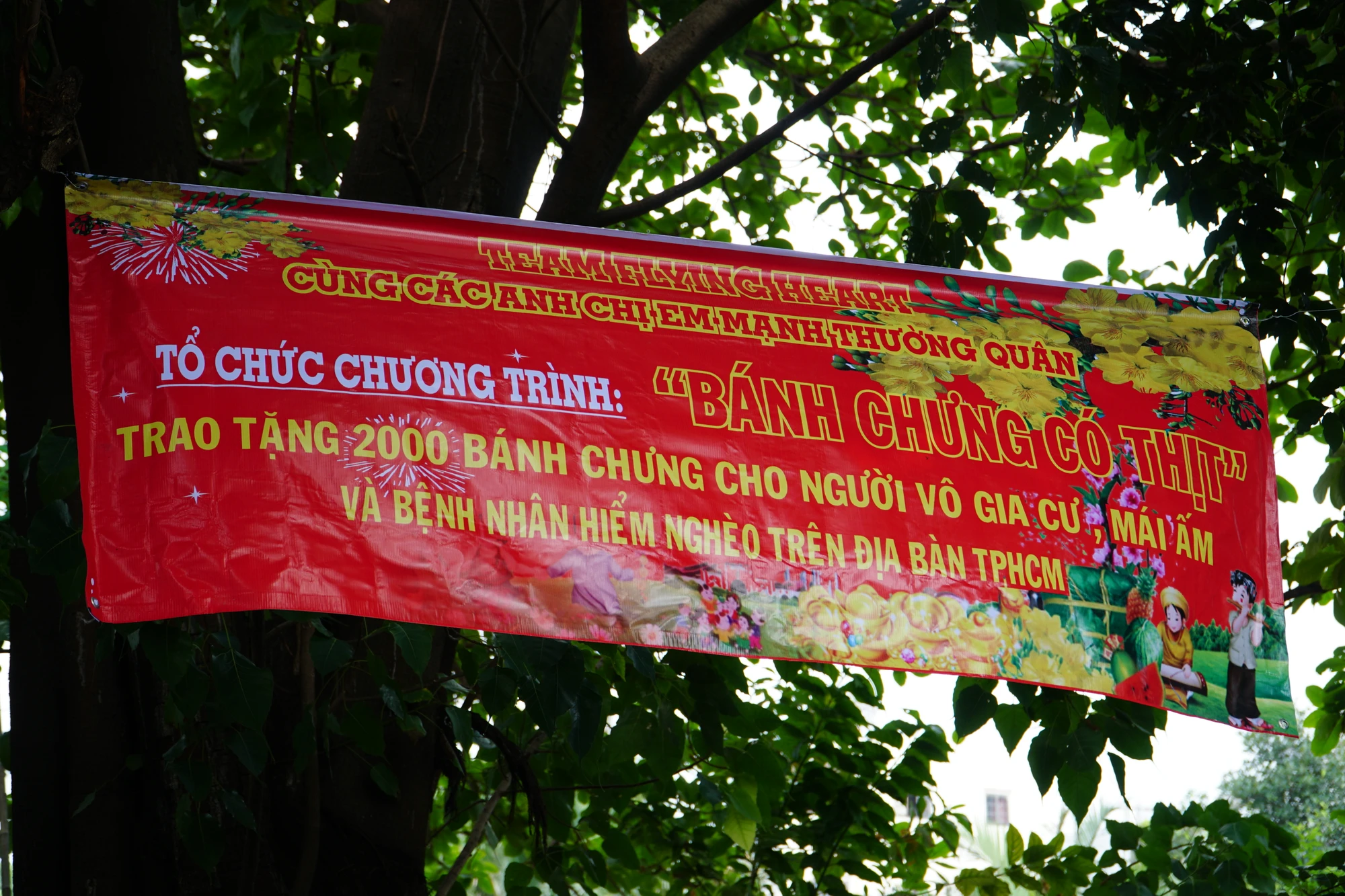 Đây là hoạt động thường niên được một nhóm các bạn tình nguyện viên phát động vào mỗi dịp tết đến xuân về. Đây là hoạt động thường niên được một nhóm các bạn tình nguyện viên phát động vào mỗi dịp tết đến xuân về.