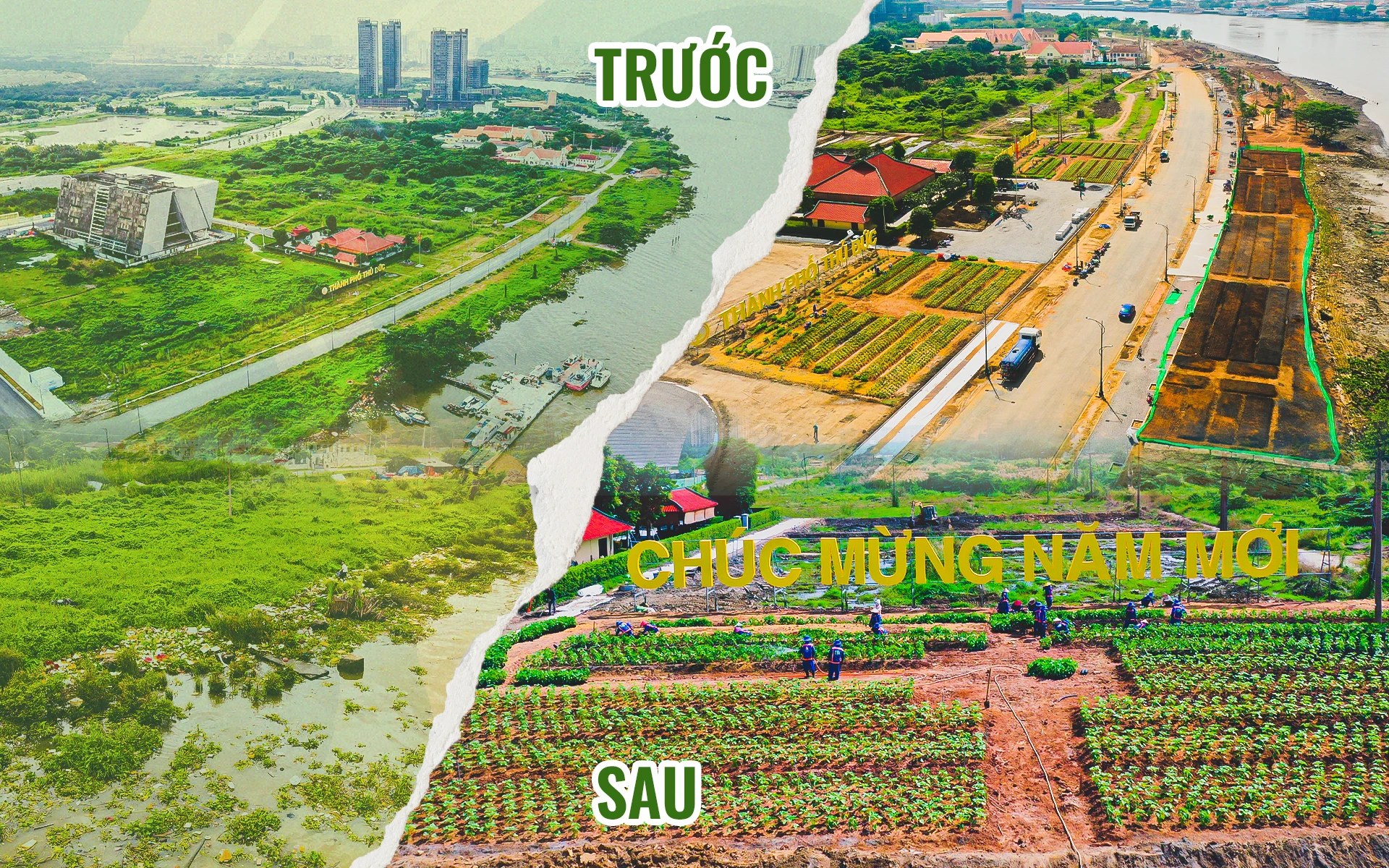 10-hon-30-ngay-bien-lau-lach-co-dai-thanh-diem-den-ly-tuong-moi-o-tphcm-8007.jpg