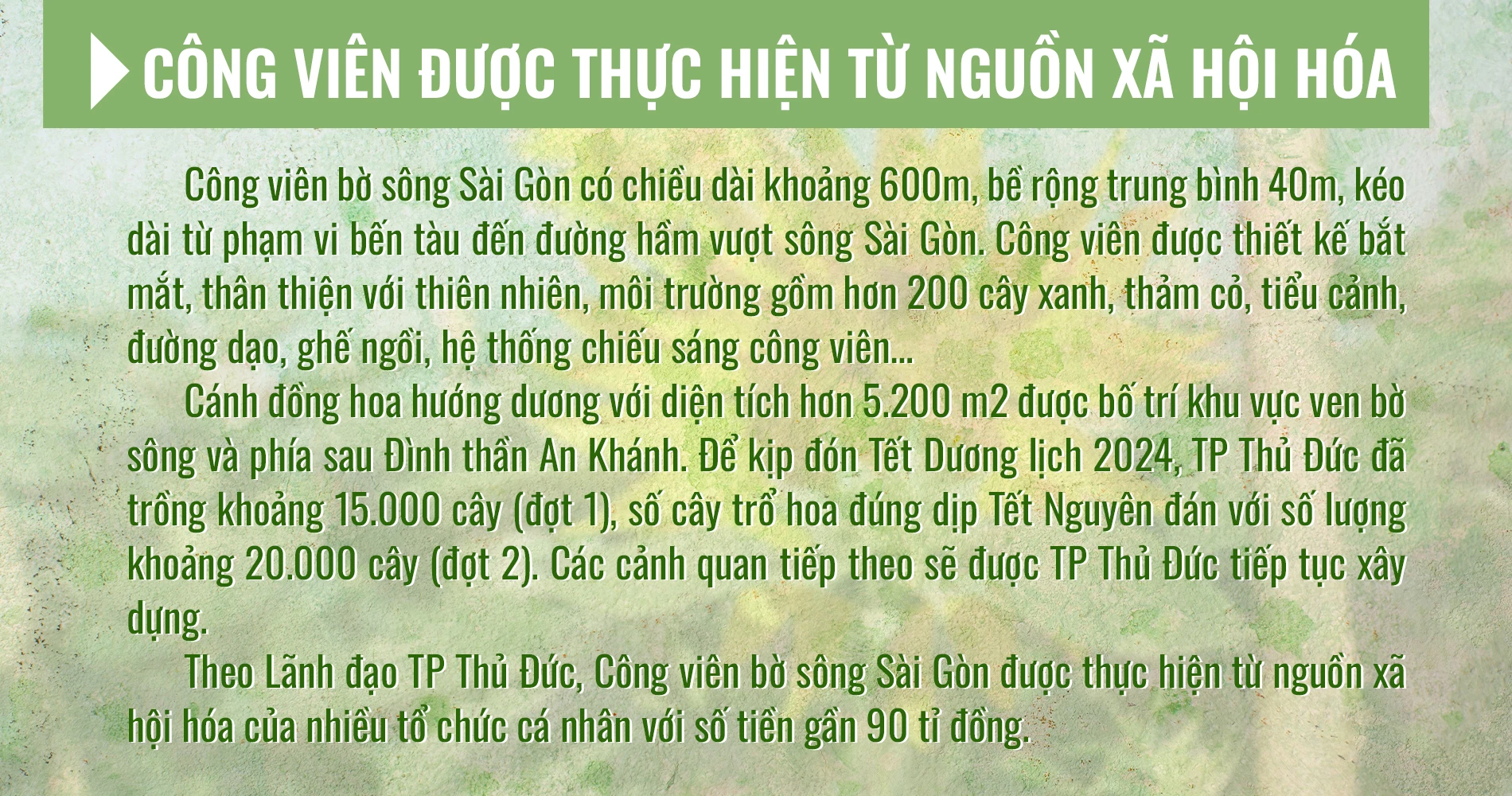 15-hon-30-ngay-bien-lau-lach-co-dai-thanh-diem-den-ly-tuong-moi-o-tphcm-4387.jpg