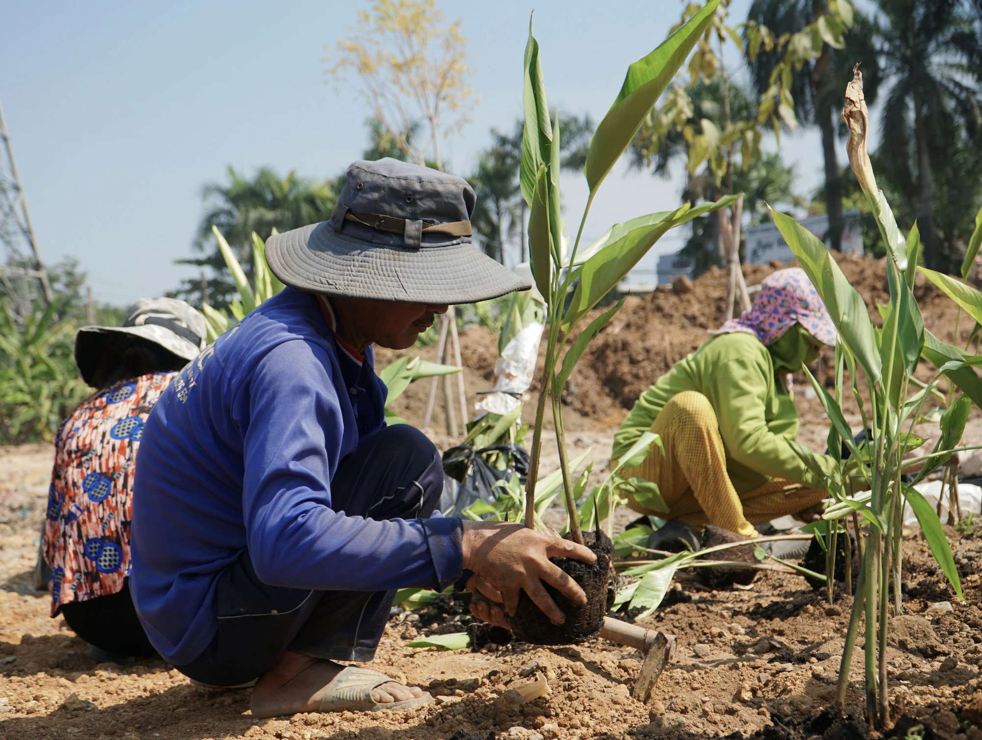 2-cong-vien-nha-ga-phuoc-long-sap-don-dien-mao-moi-vao-tet-duong-lich-604.jpg
