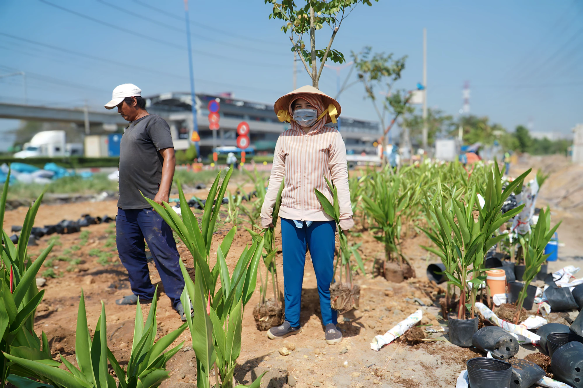 3-cong-vien-nha-ga-phuoc-long-sap-don-dien-mao-moi-vao-tet-duong-lich-5507.jpg