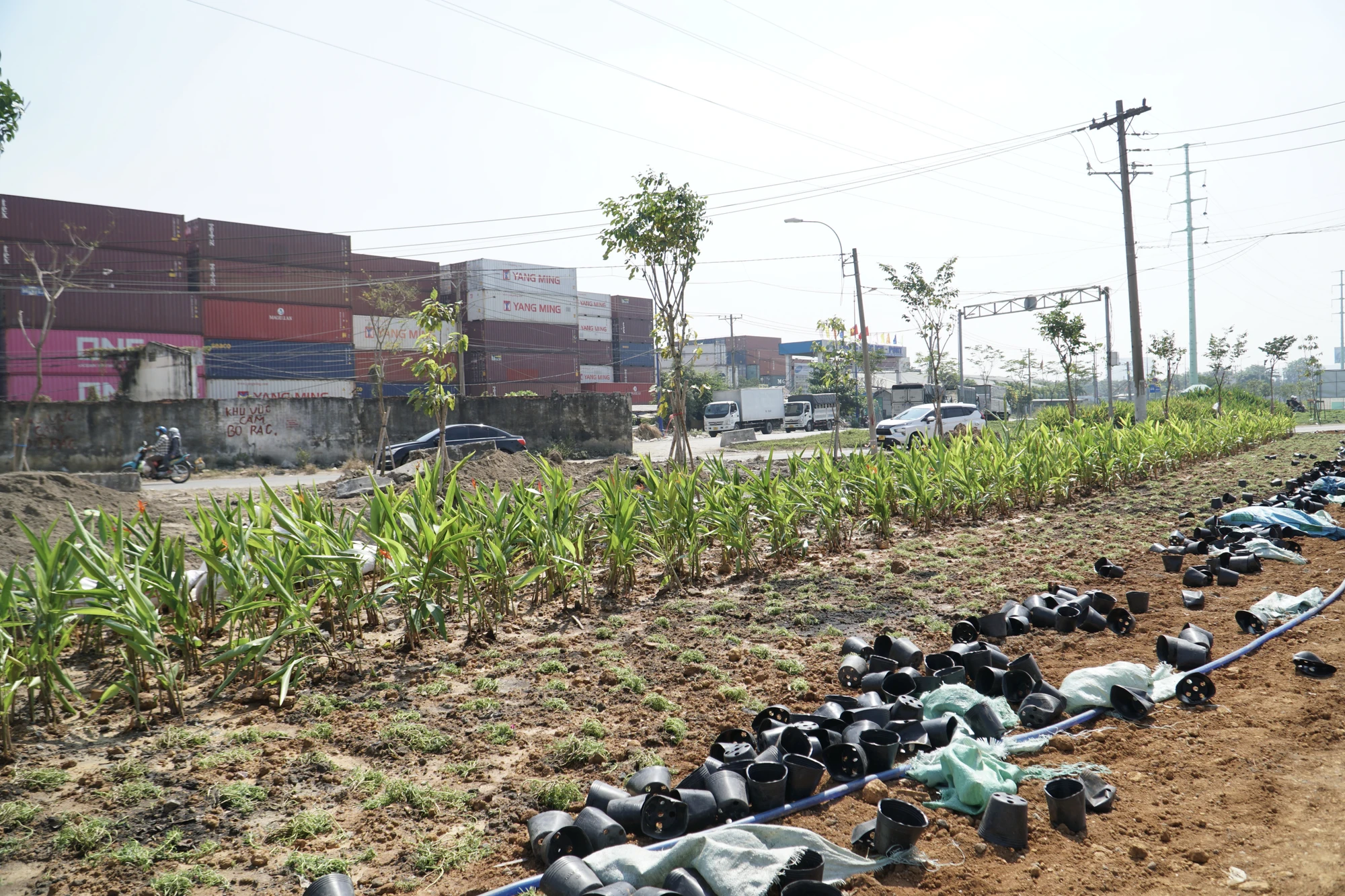 4-cong-vien-nha-ga-phuoc-long-sap-don-dien-mao-moi-vao-tet-duong-lich-2141.jpg