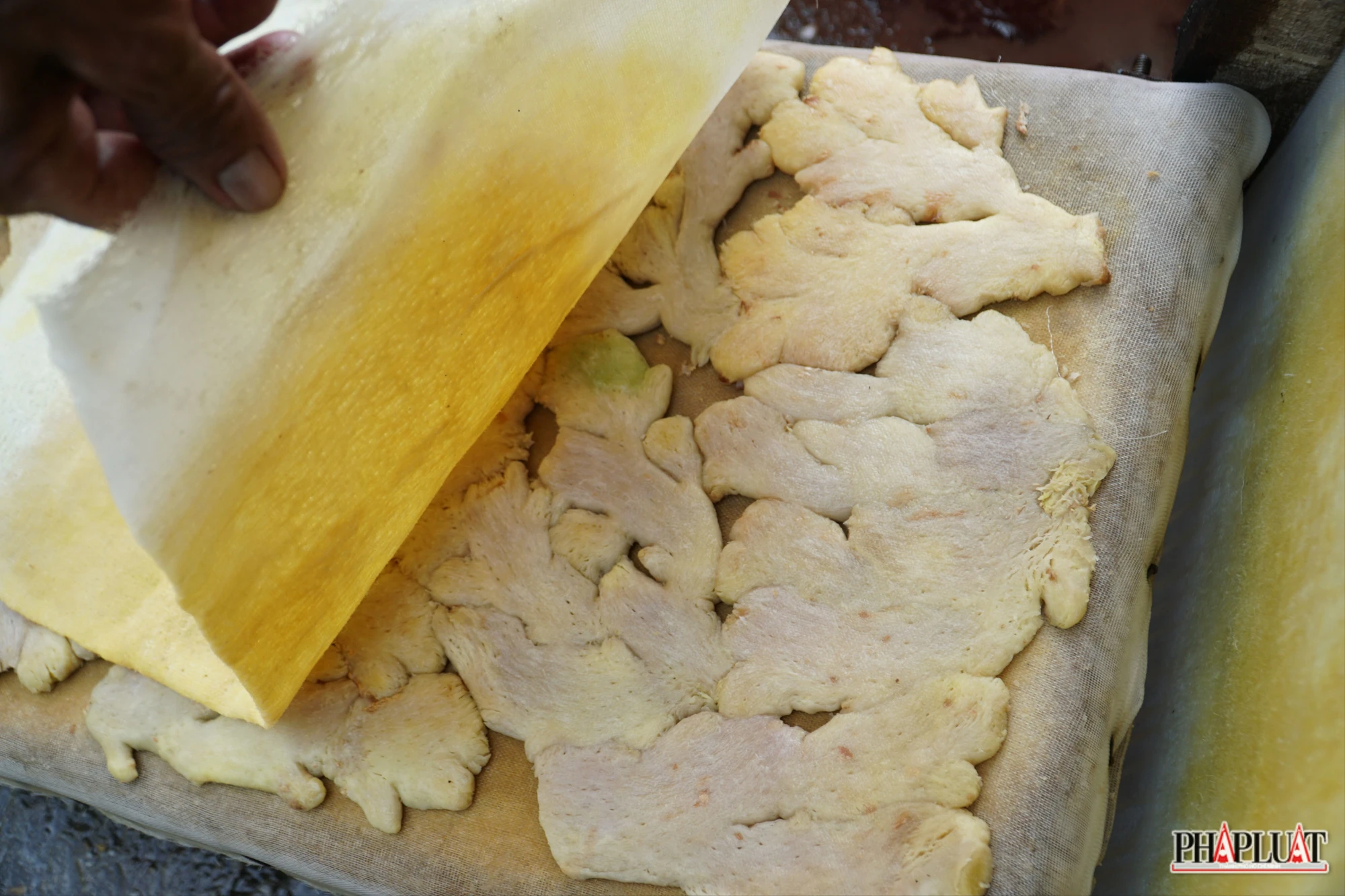 anh-141-lang-mut-gung-tai-binh-duong-7397-1136-5053.jpg