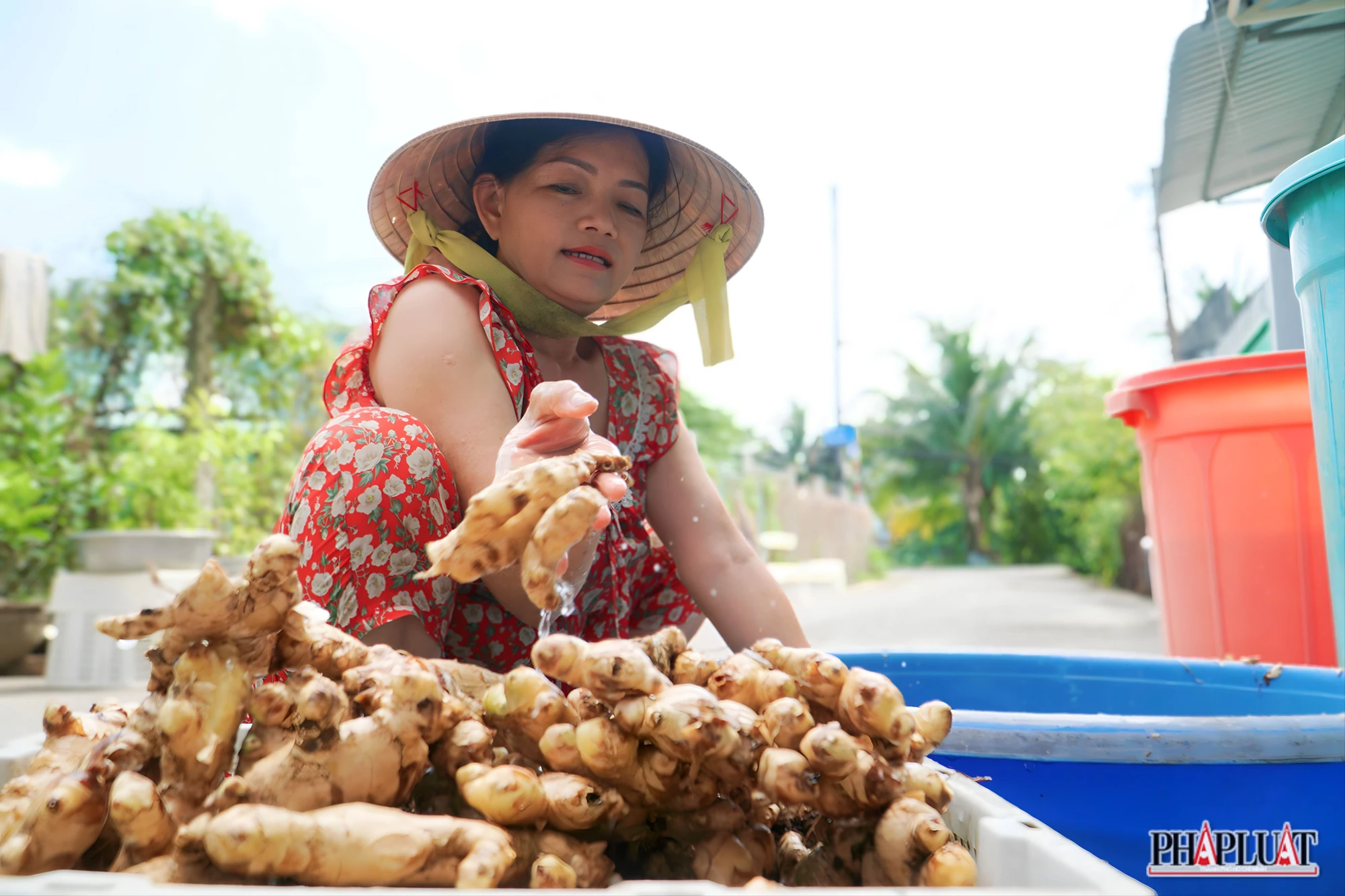 anh-2-lang-mut-gung-tai-binh-duong-5840-5320-7999.jpg