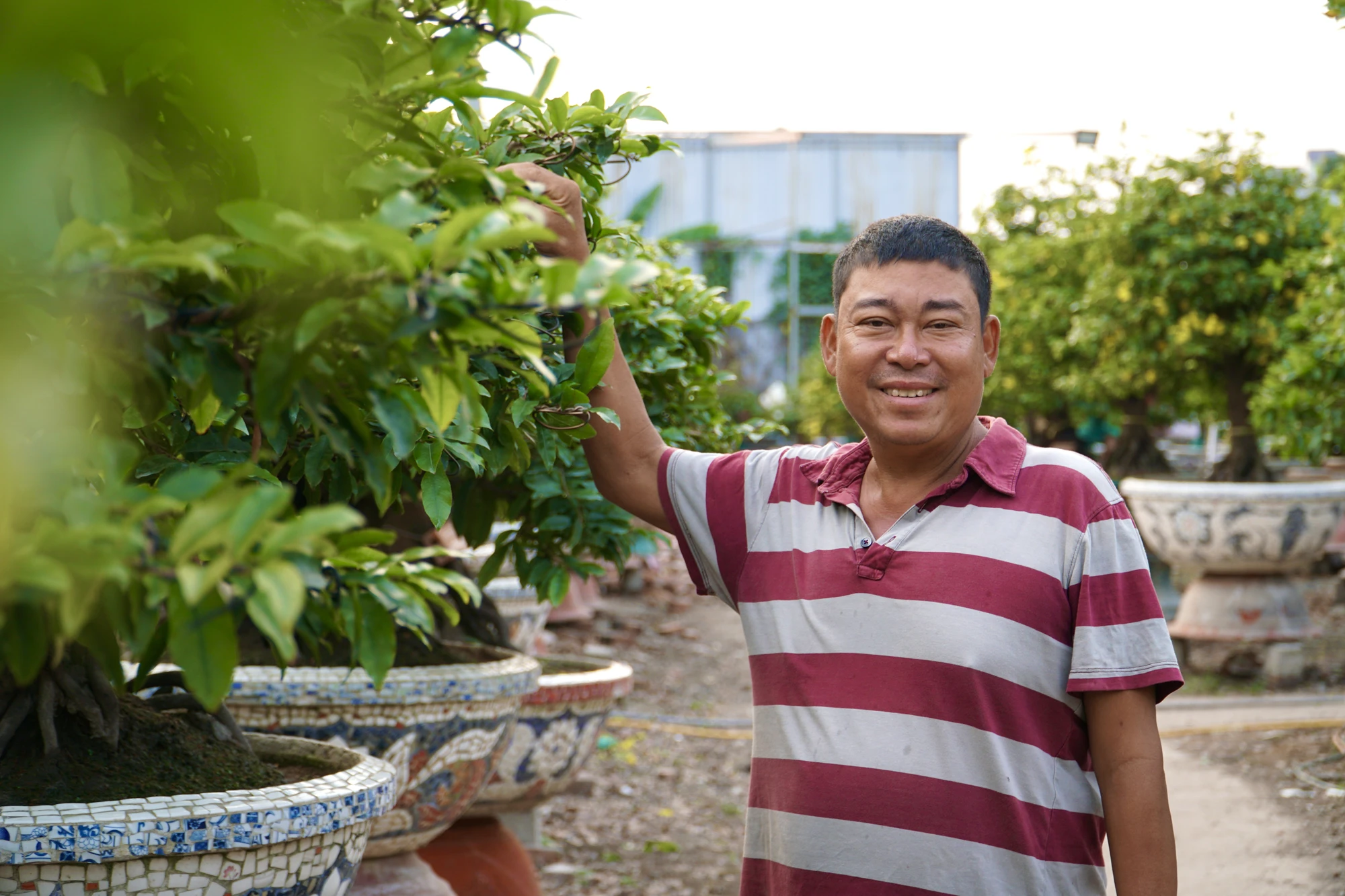 12-trong-mai-4568.jpg