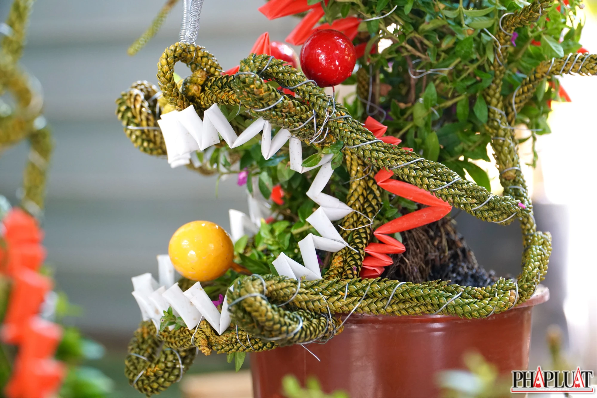 anh-21-bonsai-hinh-rong-4535-4013-3653-3347.jpg