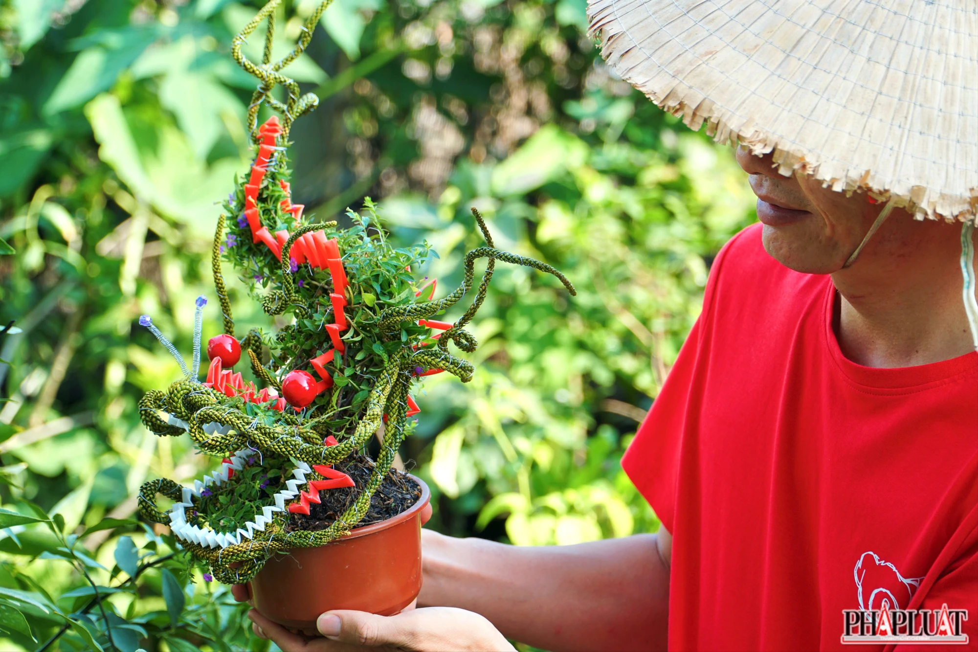 anh-5-bonsai-hinh-rong-8847-2882.jpg