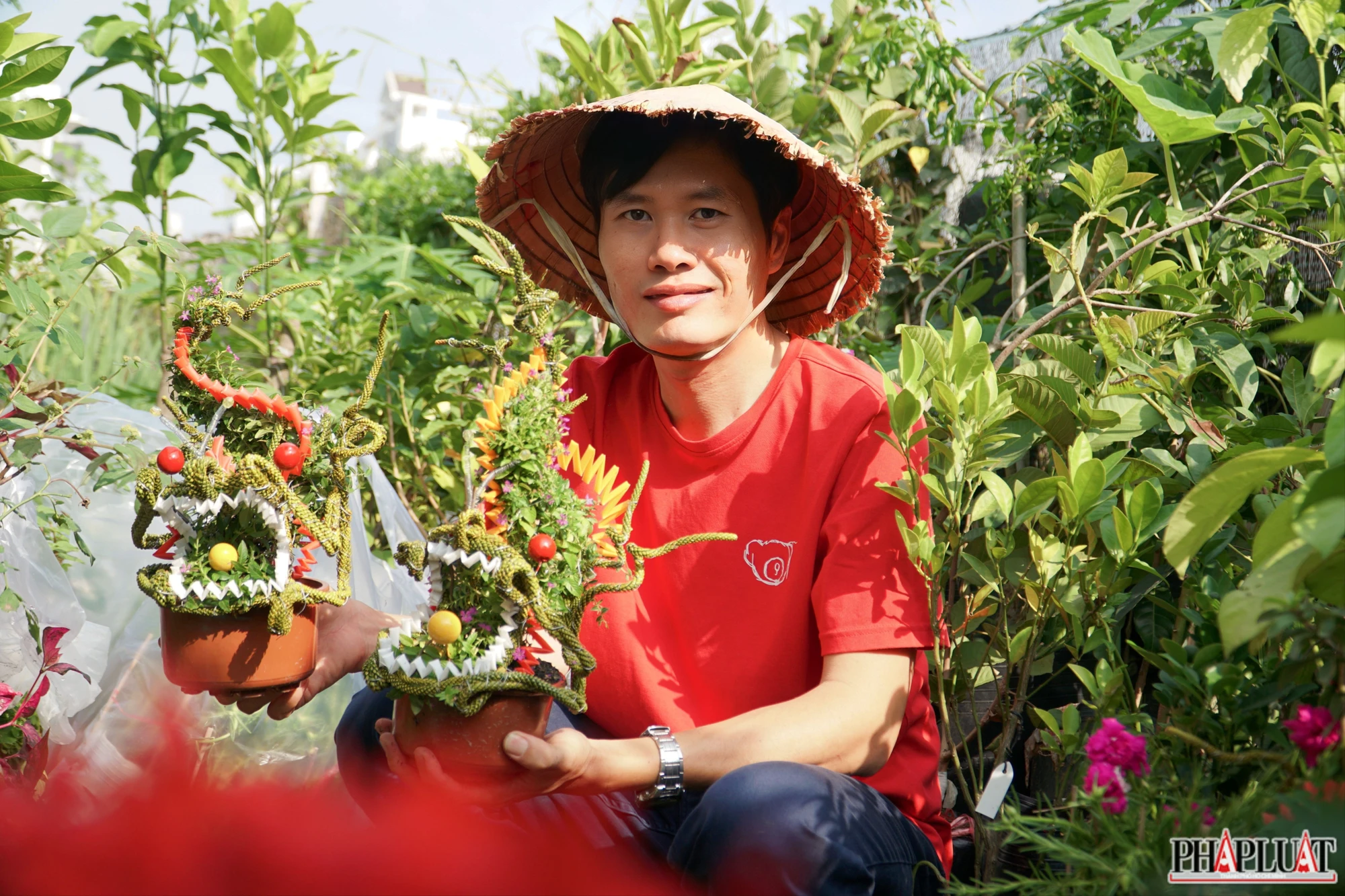 anh-7-bonsai-hinh-rong-1589-5042.jpg