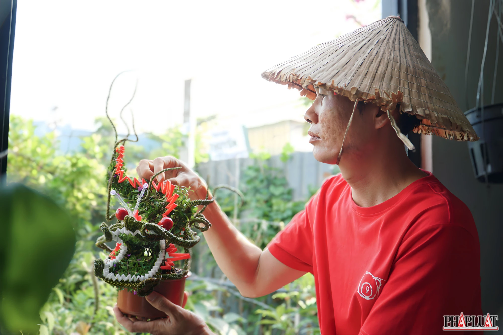 anh-9-bonsai-hinh-rong-4378-8793.jpg