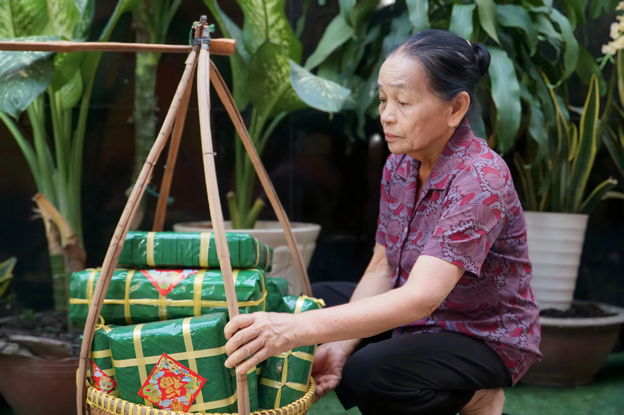Ảnh 4- -duong-hoa.JPG