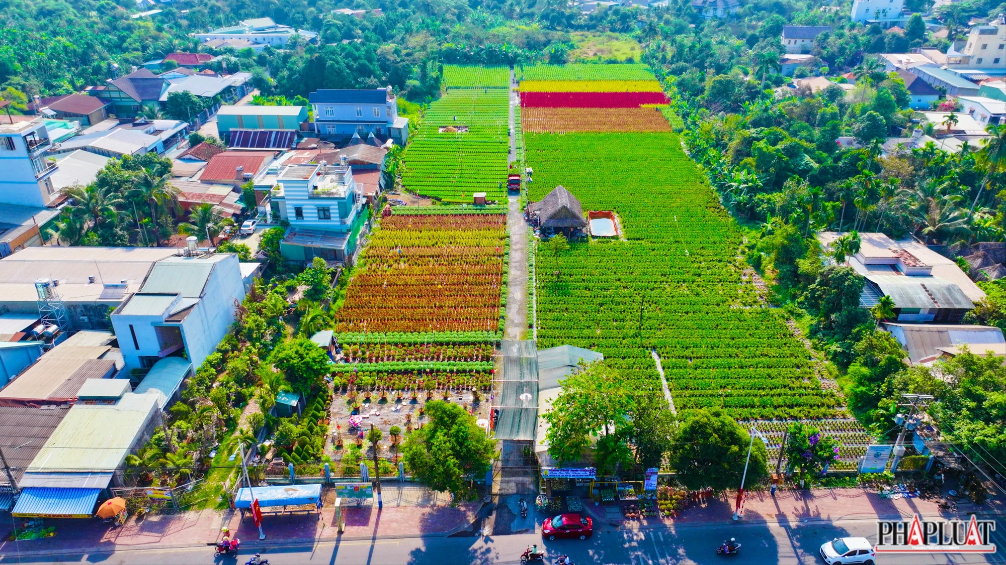 Vườn hoa