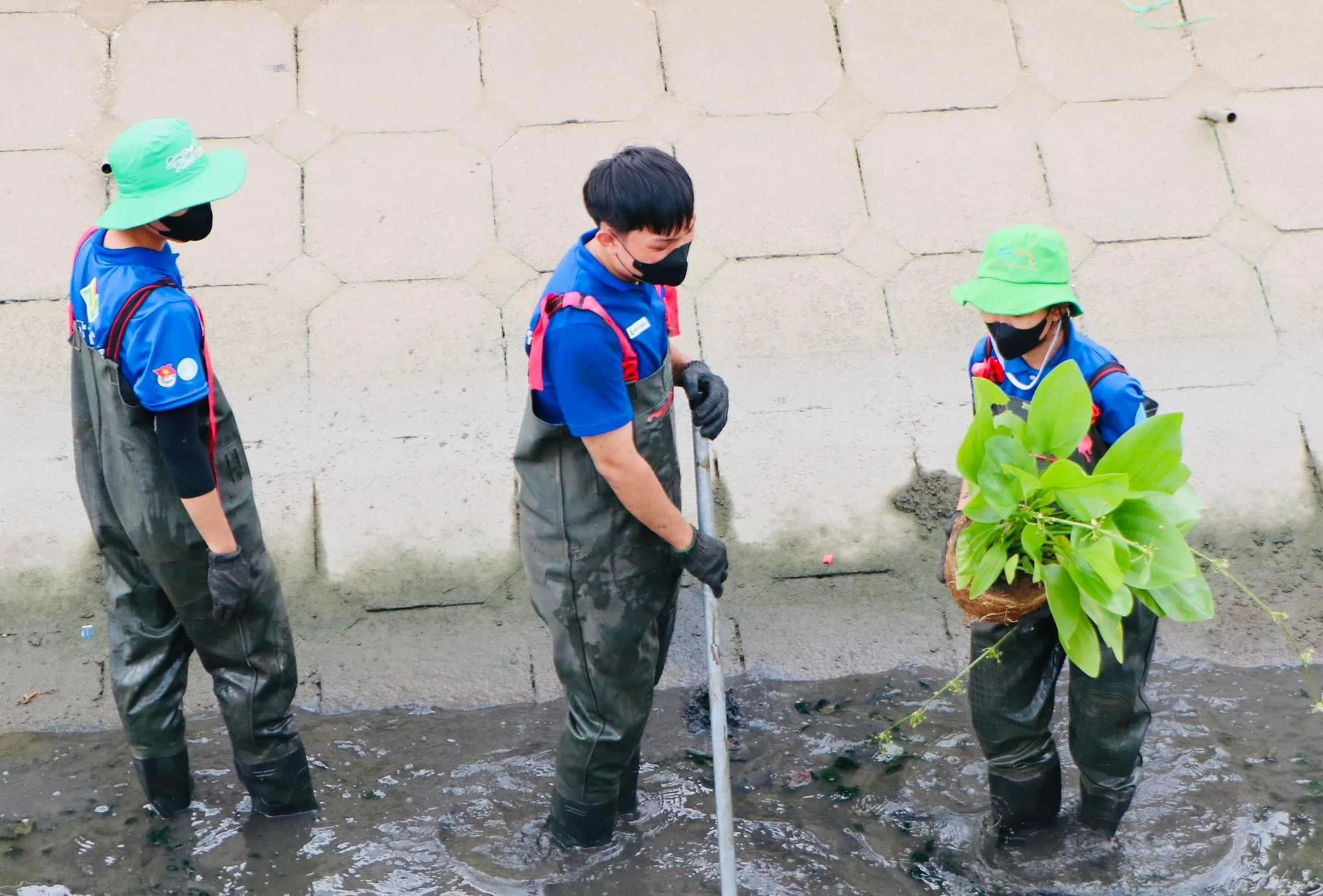 ảnh 4.jpg