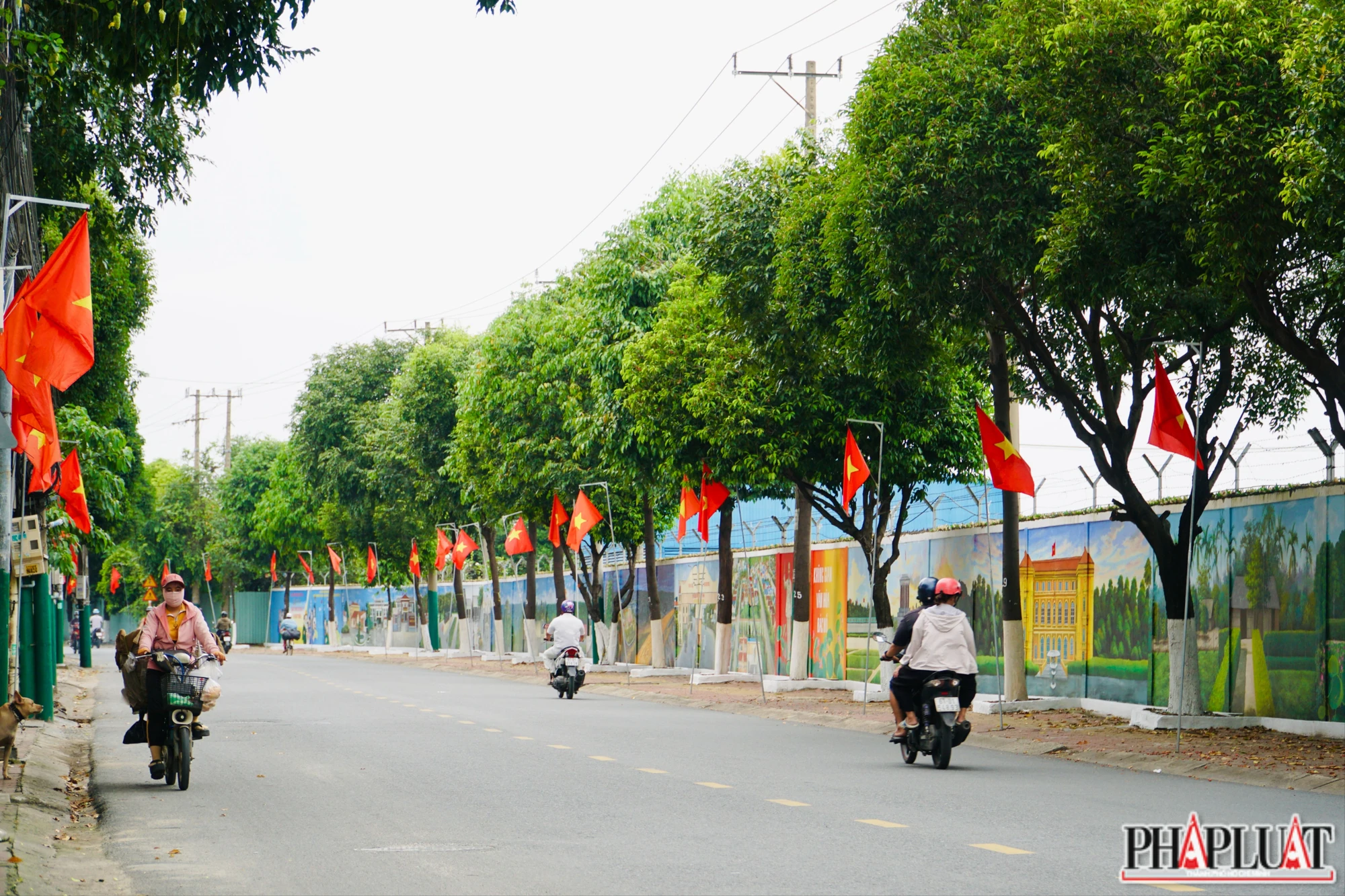 con đường bích hoạ