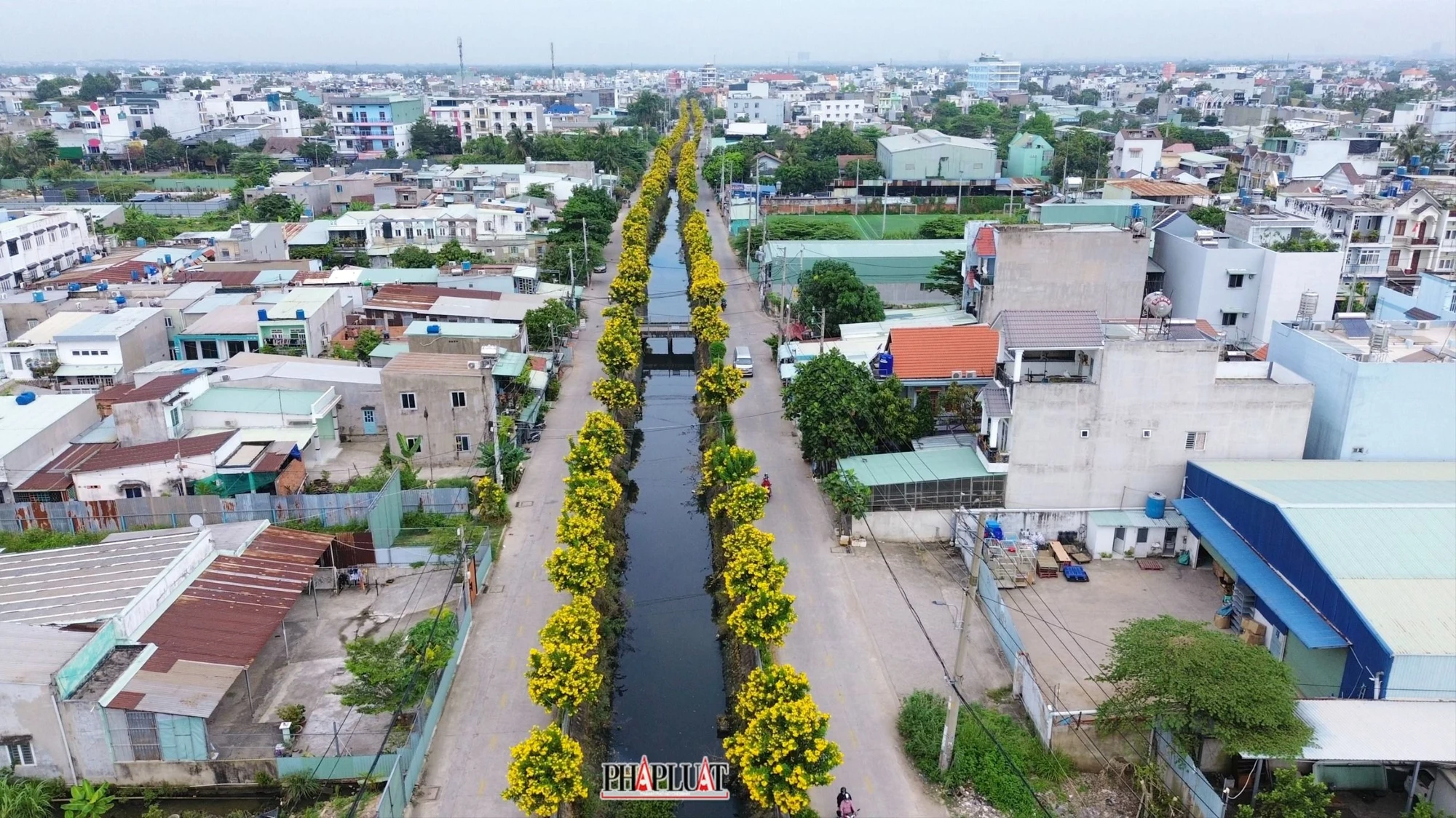 2-hoa-huynh-lien-.jpg