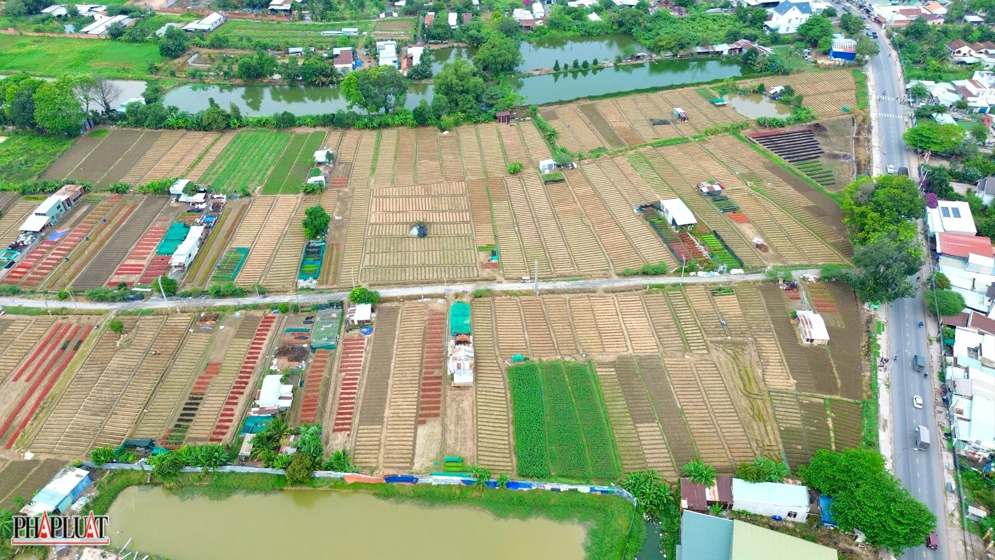 làng hoa tân ba
