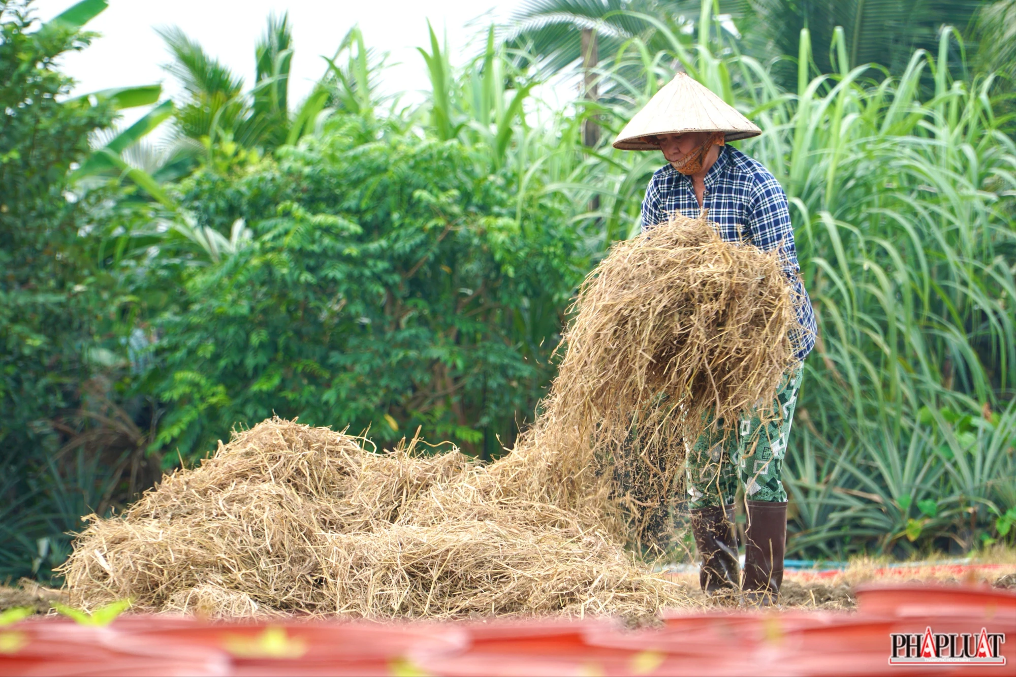 3 -lang-hoa-tan-ba.jpg