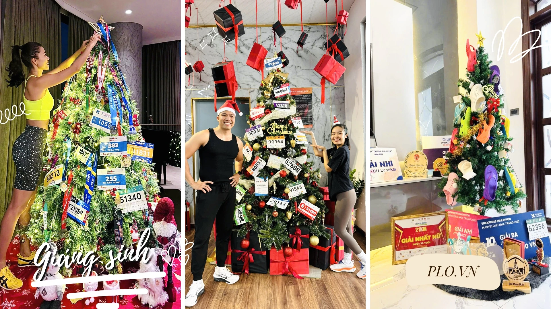 cây thông noel