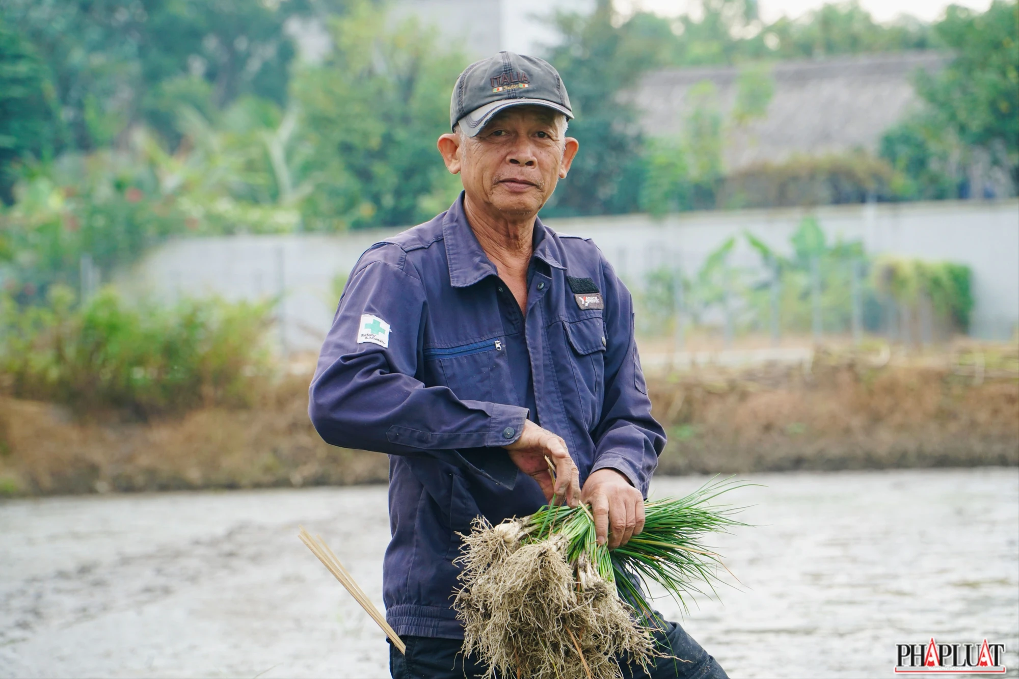 14 -vu-kieu-tet.jpg