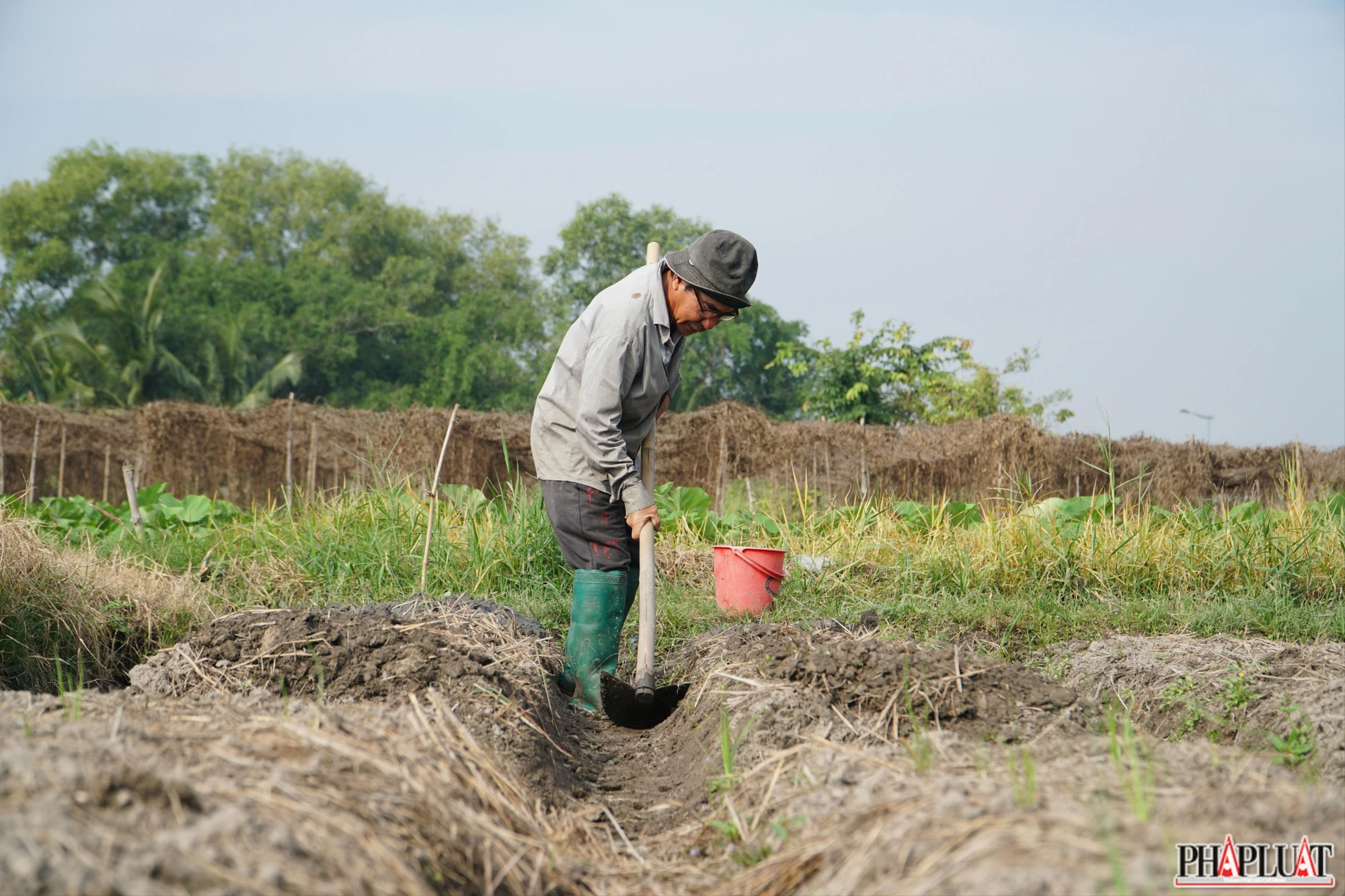16 -vu-kieu-tet.jpg