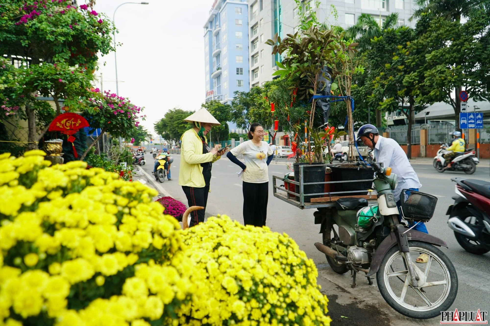 3 -cuc-mam-xoi.jpg