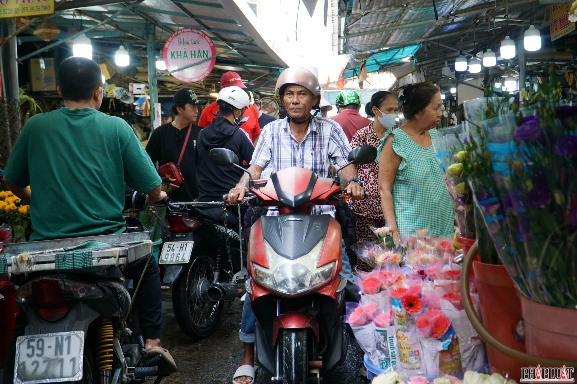 2 -hoa-dong-tien .jpg