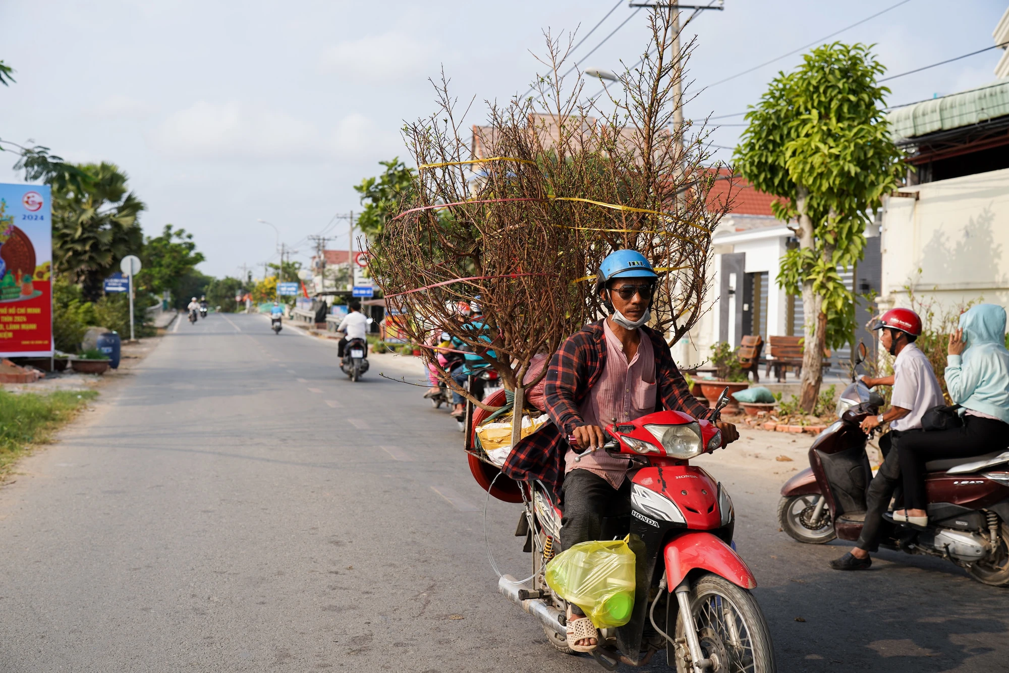 lang-mai-vang-binh-loi-2025-21.jpg