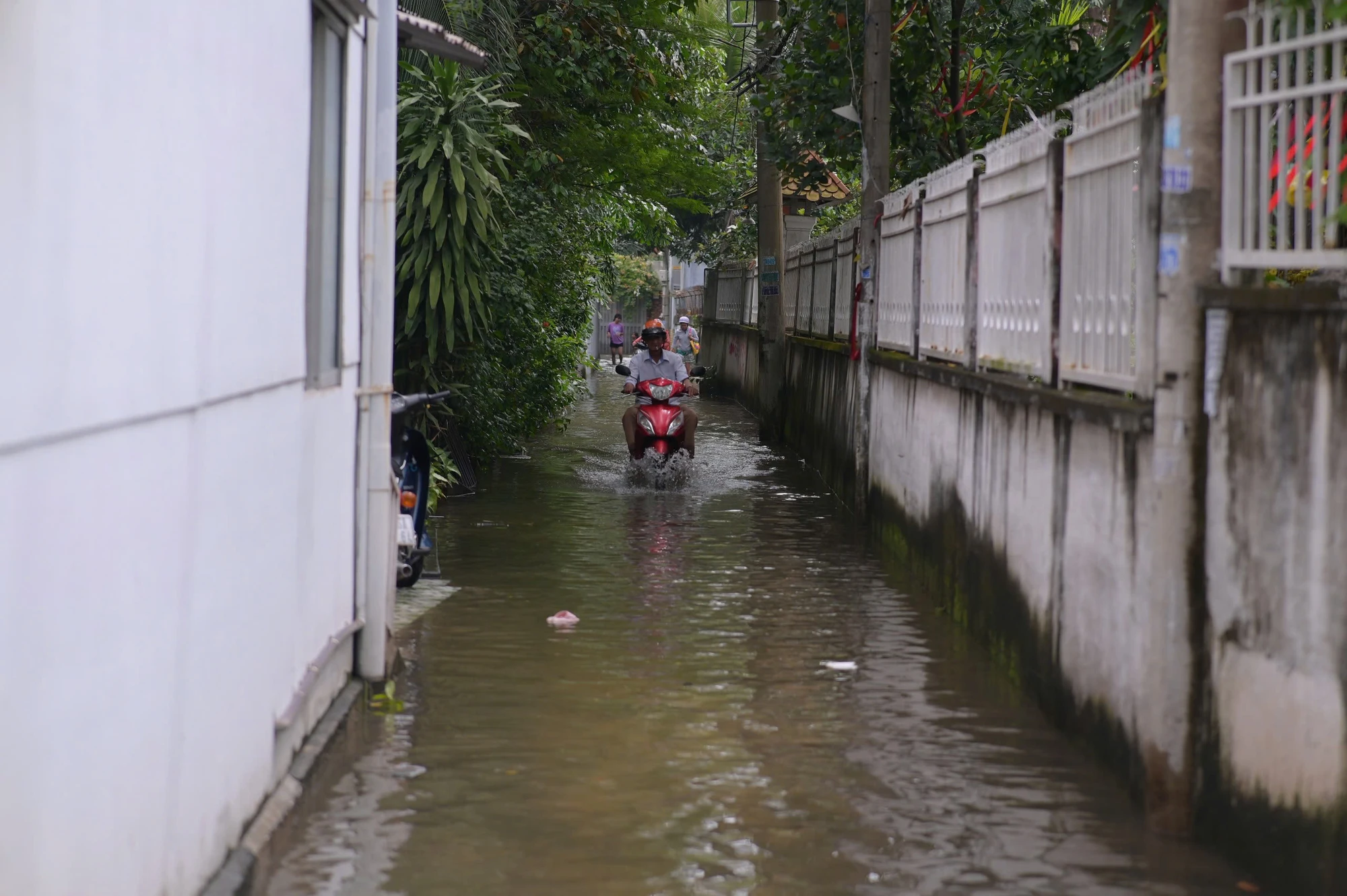 trieu-cuong-dat-dinh-nhieu-tuong-nha-o-phuong-binh-quoi-bi-do-sapz7153629443311_3965905a543aace4266a672d1fc6e616.jpg