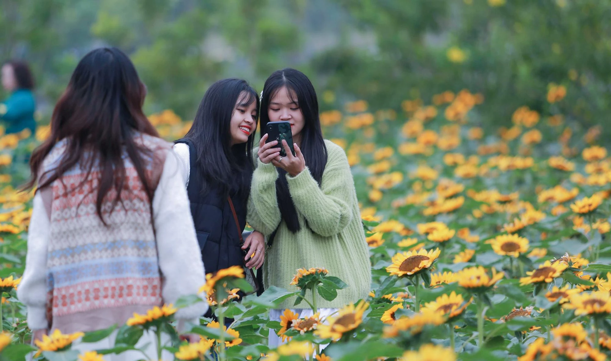 Nhiều người mải mê chụp ảnh lưu lại những kỷ niệm khi đến với Lễ hội hoa Mê Linh năm 2022. Nhiều người mải mê chụp ảnh lưu lại những kỷ niệm khi đến với Lễ hội hoa Mê Linh năm 2022.